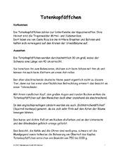 Totenkopfäffchen-Text-1.pdf